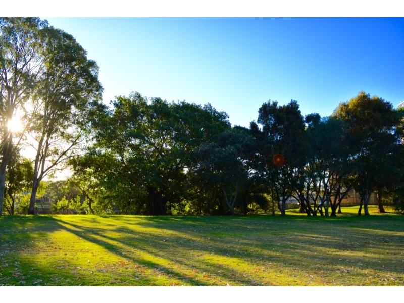 3/31 Monte Carlo Avenue, Surfers Paradise QLD 4217