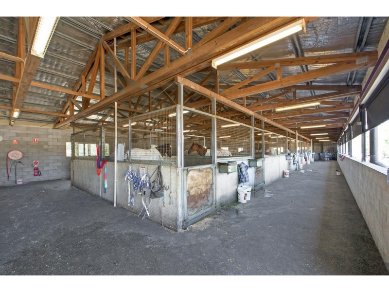 88 Racecourse Drive, Bundall QLD 4217