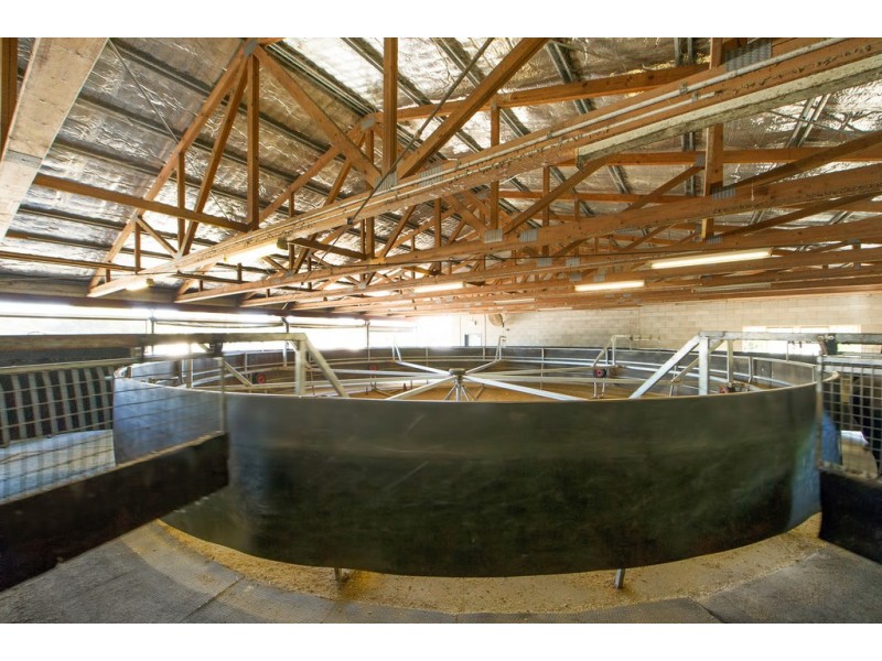 88 Racecourse Drive, Bundall QLD 4217