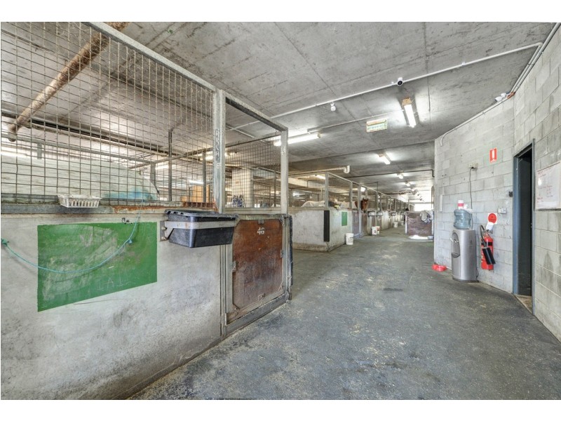 88 Racecourse Drive, Bundall QLD 4217