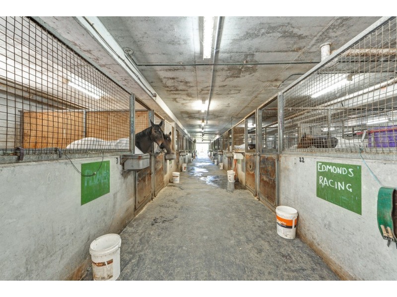 88 Racecourse Drive, Bundall QLD 4217