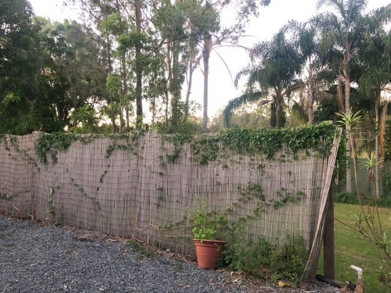 222 Mildura Drive, Helensvale QLD 4212