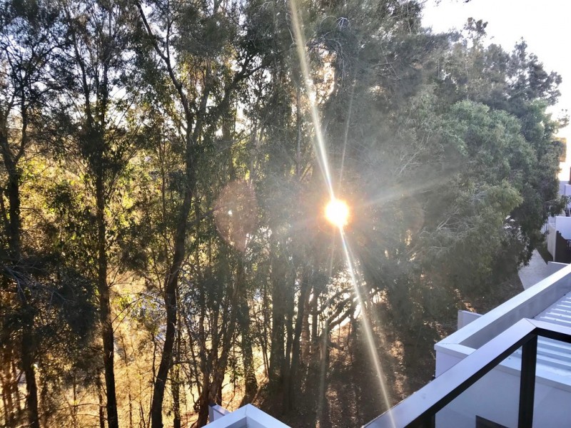 92 Florabella Drive, Robina QLD 4226