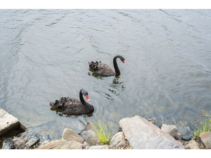 34 Emerton Crescent, Robina QLD 4226