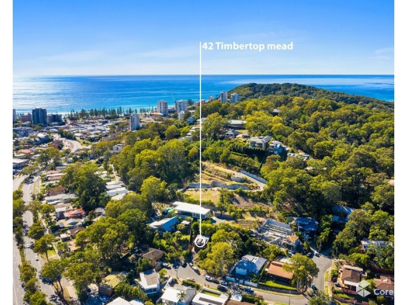 42 Timbertop Mead, Burleigh Heads QLD 4220