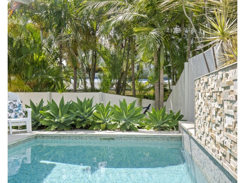 10 St Paul Crescent, Varsity Lakes QLD 4227