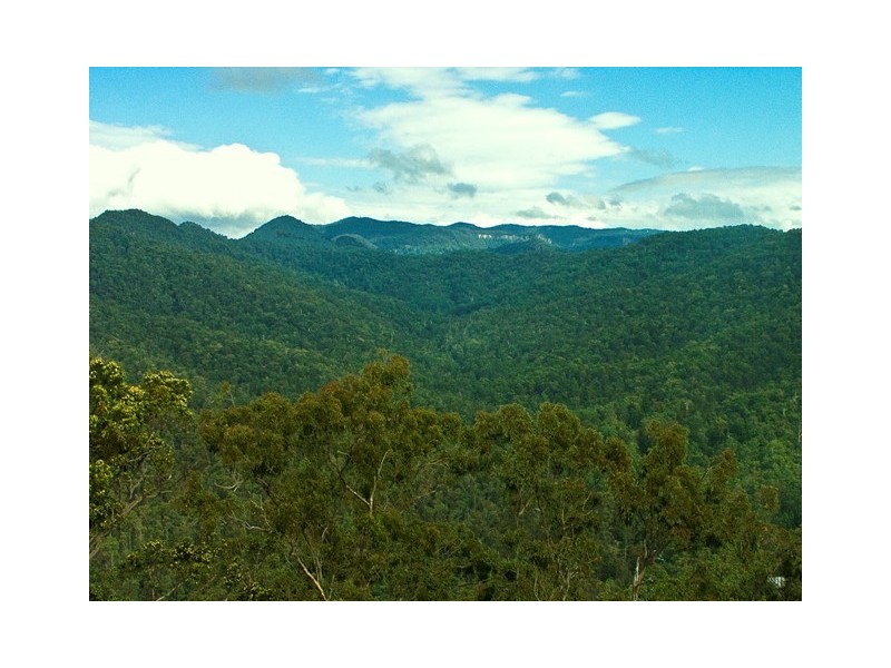 13 Riberry Court, Bonogin QLD 4213