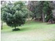 38 Johns Road, Mudgeeraba QLD 4213