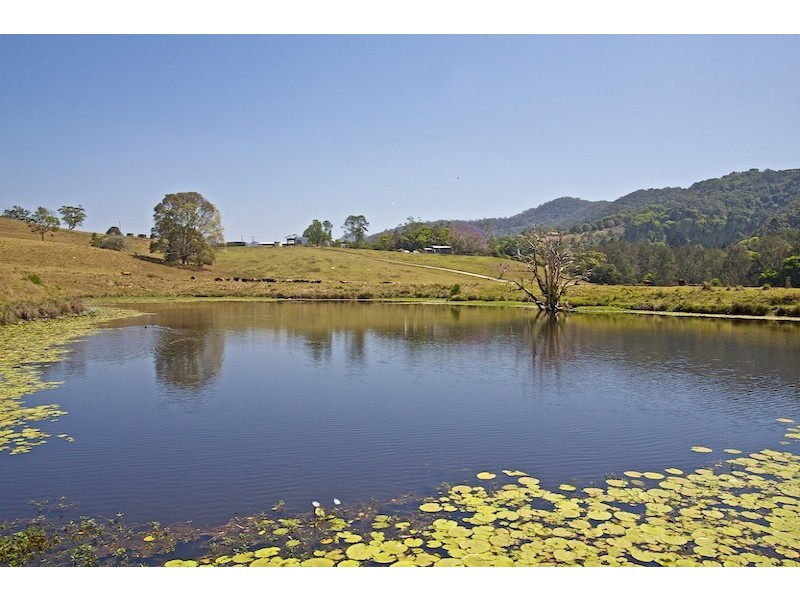 829 Tallebudgera Creek Road, Tallebudgera Valley QLD 4228