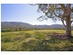 829 Tallebudgera Creek Road, Tallebudgera Valley QLD 4228