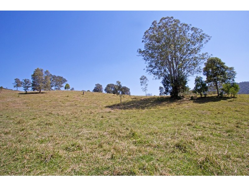 829 Tallebudgera Creek Road, Tallebudgera Valley QLD 4228