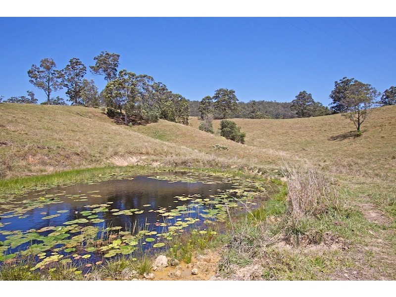 829 Tallebudgera Creek Road, Tallebudgera Valley QLD 4228