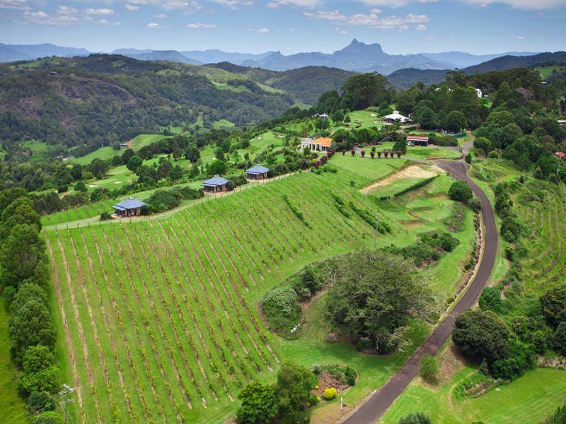 363 Carool Road, Carool NSW 2486