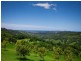 363 Carool Road, Carool NSW 2486