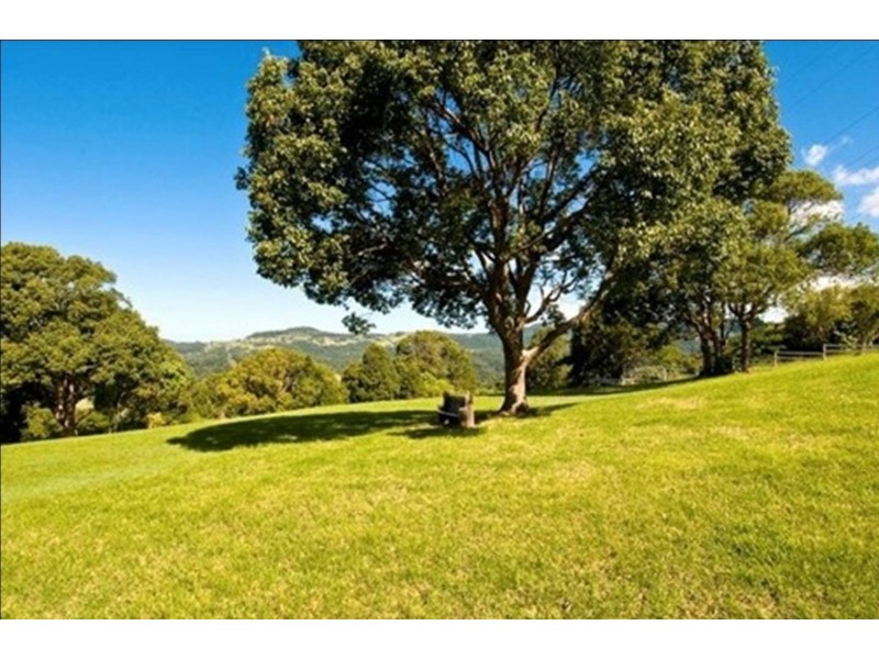 647 Trees Road, Tallebudgera QLD 4228