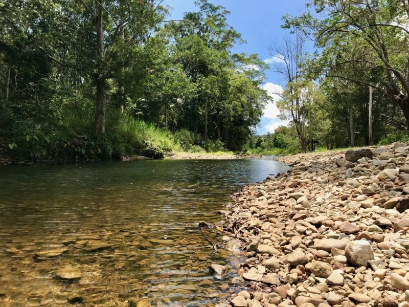 1074 Tallebudgera Creek Rd, Tallebudgera Valley QLD 4228