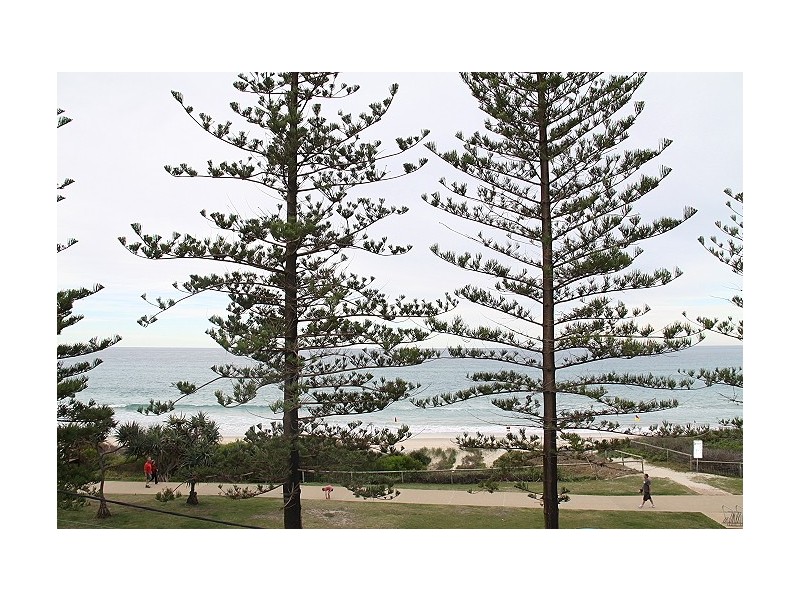 1/6 Marine Pde, Miami QLD 4220