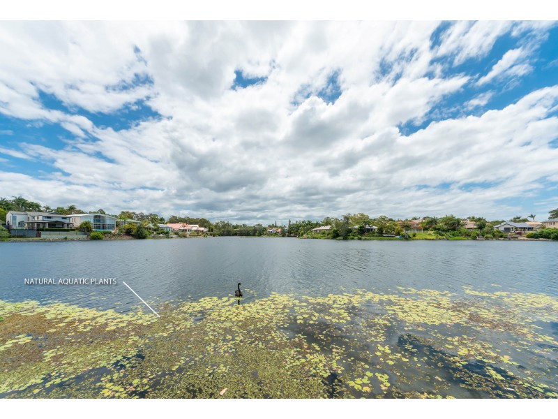 24 Mornington Terrace, Robina QLD 4226