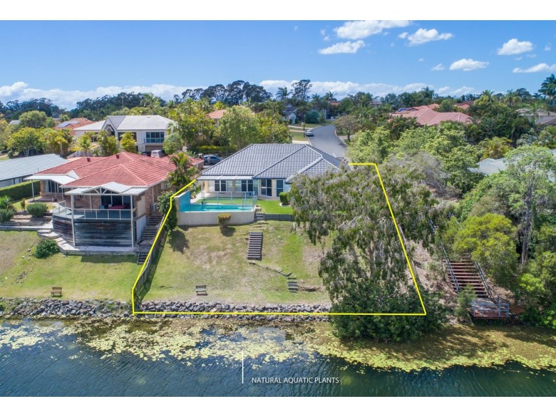 24 Mornington Terrace, Robina QLD 4226