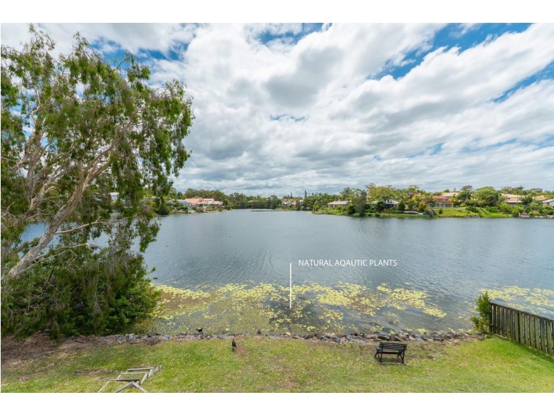 24 Mornington Terrace, Robina QLD 4226