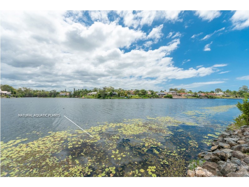 24 Mornington Terrace, Robina QLD 4226