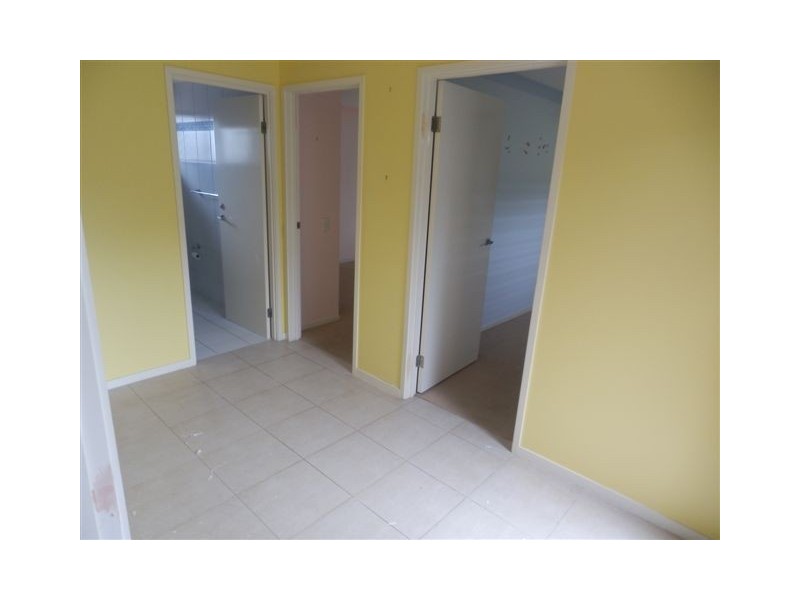 119 Campbell Street, Bundall QLD 4217