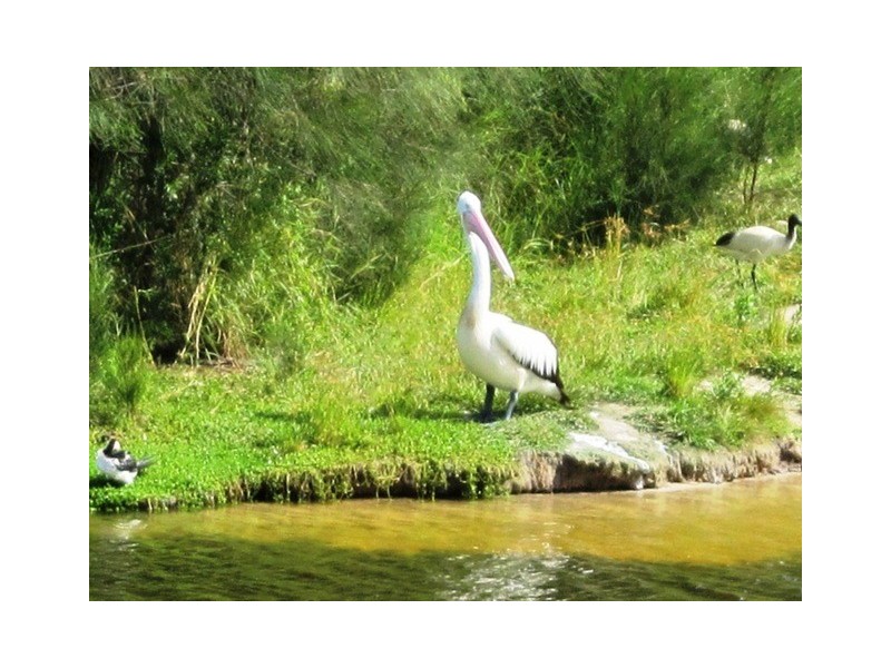 64 ‘The Lakes At Island Quay’ 7-9 Santa Cruz Blvd, Clear Island Waters QLD 4226