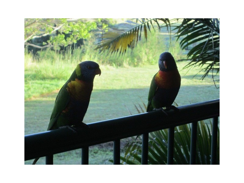 64 ‘The Lakes At Island Quay’ 7-9 Santa Cruz Blvd, Clear Island Waters QLD 4226