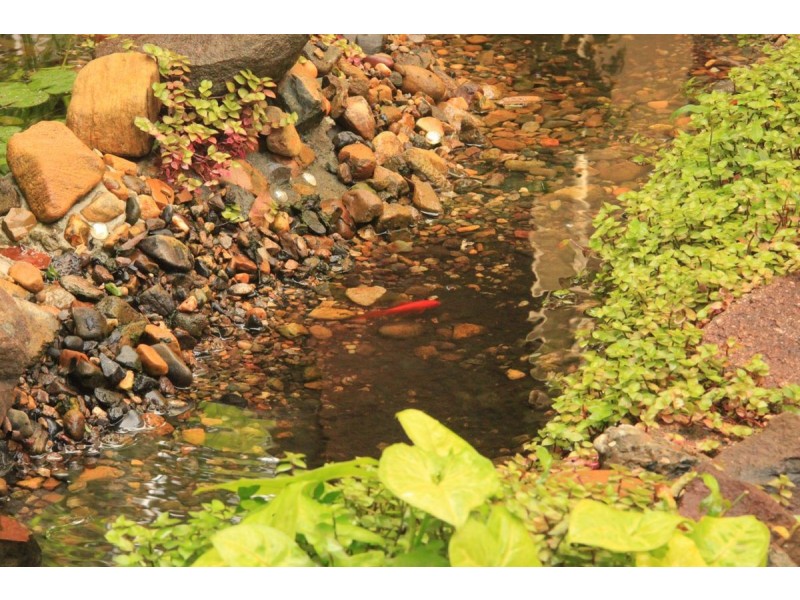 7 Fairway Avenue, Bundall QLD 4217