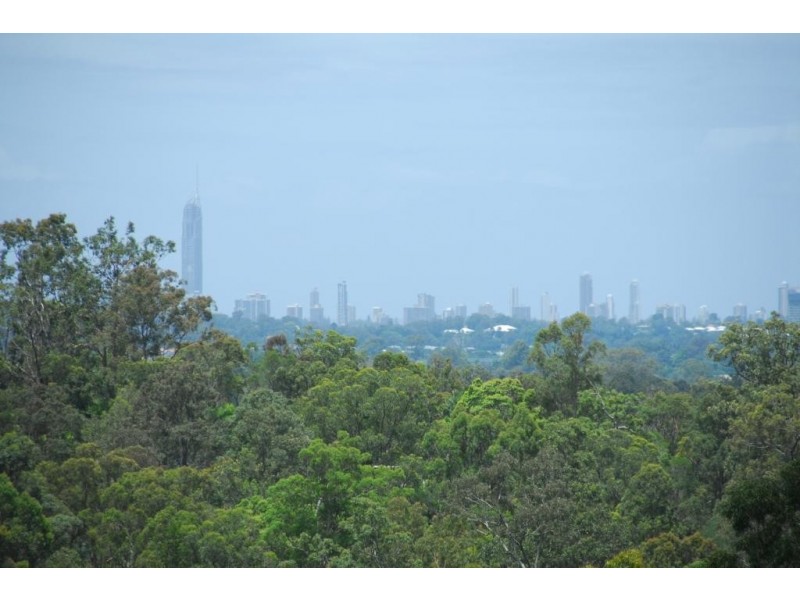 217 Crane Crescent, Nerang QLD 4211