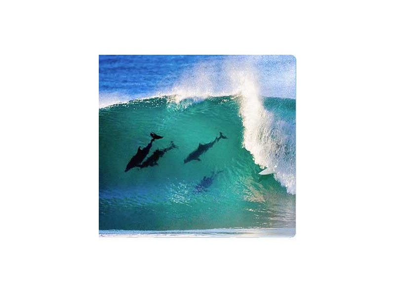 4B ‘Wharf Road Apartments’ 11 Wharf Road, Surfers Paradise QLD 4217