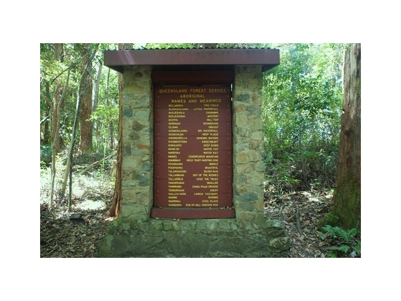 14 Forestry Road and 4 Kuralboo Street, Springbrook QLD 4213