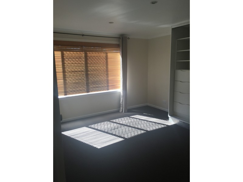 12 Susanne, Southport QLD 4215