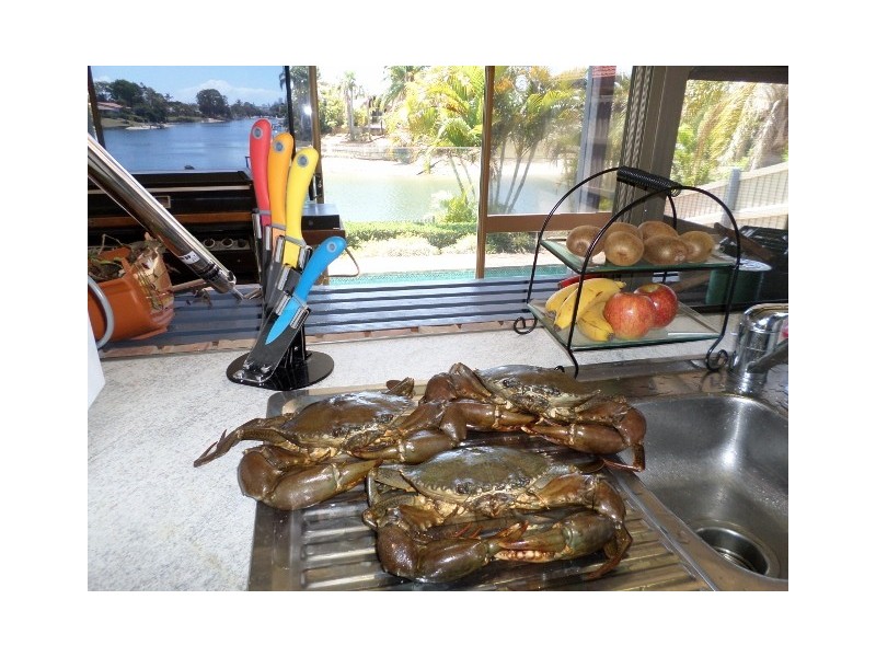 26 Cocos Crescent, Broadbeach Waters QLD 4218