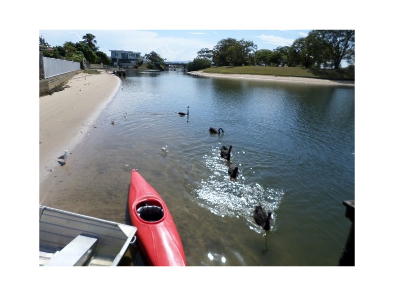 26 Cocos Crescent, Broadbeach Waters QLD 4218