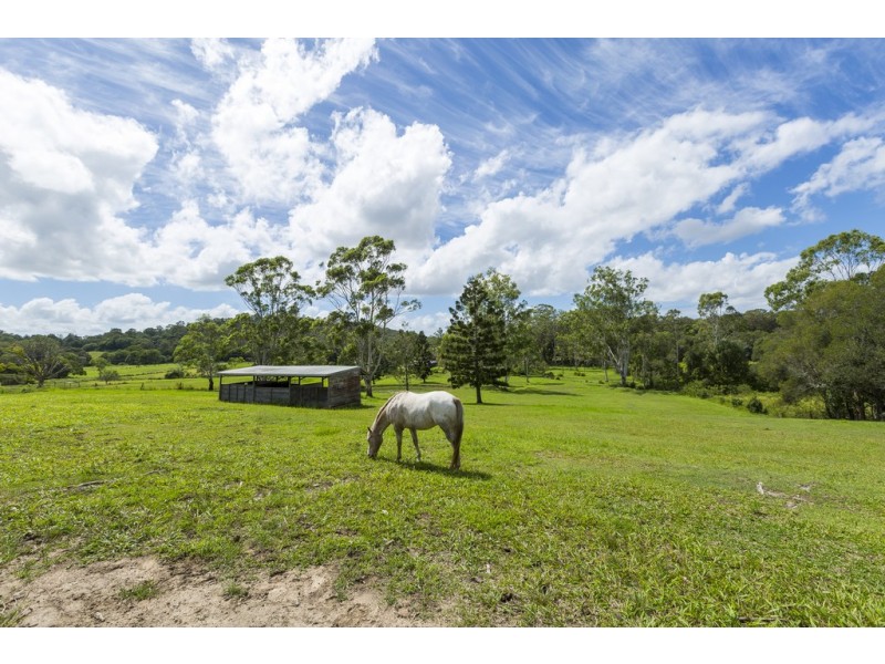 51 Sunnyside Lane, Willow Vale QLD 4209