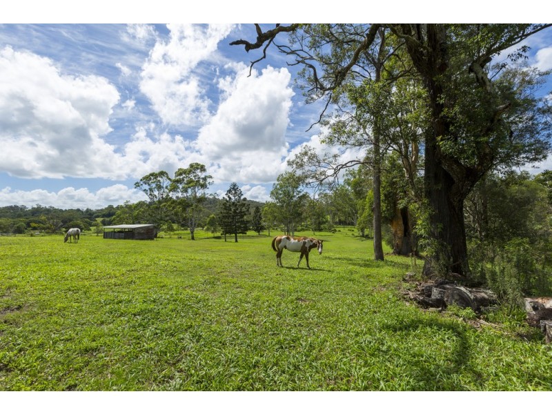 51 Sunnyside Lane, Willow Vale QLD 4209