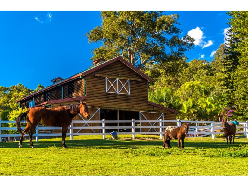 571 Gold Coast-Springbrook Road, Mudgeeraba QLD 4213