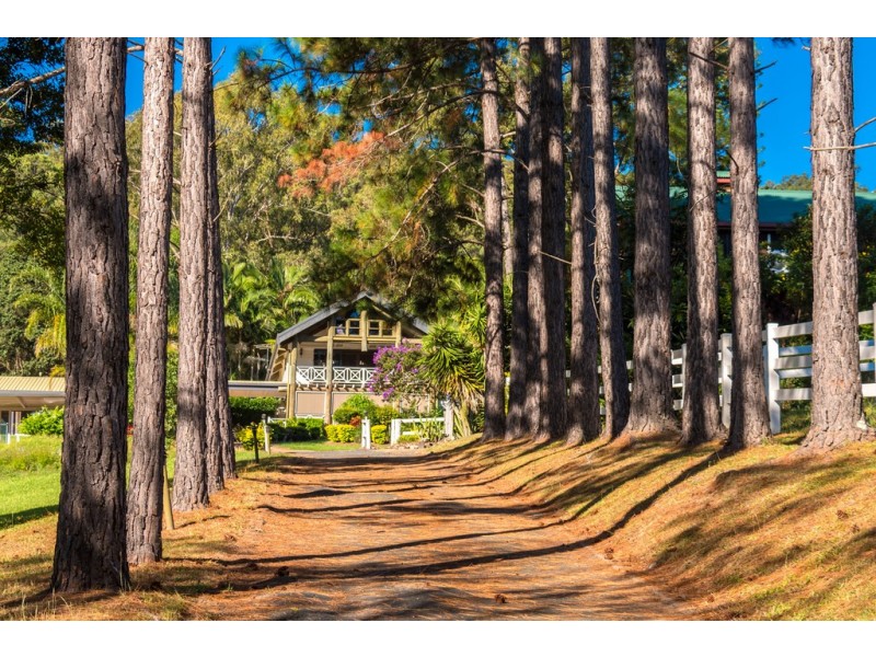 571 Gold Coast-Springbrook Road, Mudgeeraba QLD 4213