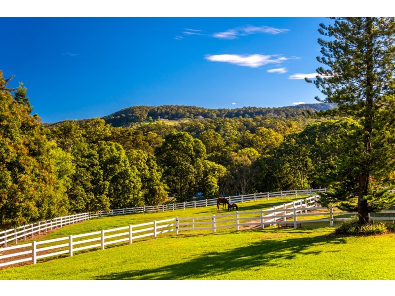 571 Gold Coast-Springbrook Road, Mudgeeraba QLD 4213