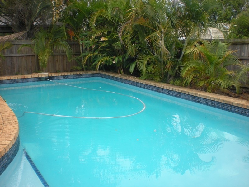 64 Chilton Street, Sunnybank Hills QLD 4109