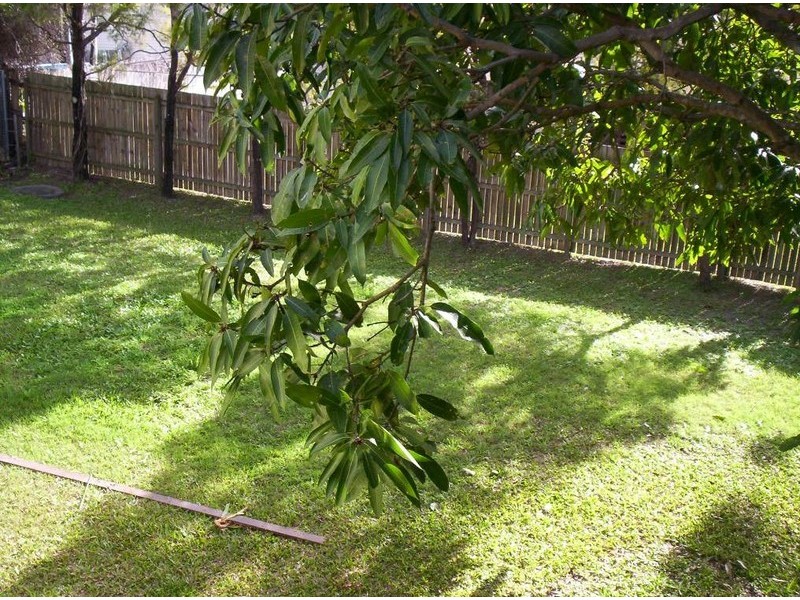 32 Maple Street, Kingston QLD 4114