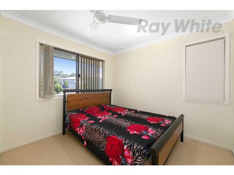 17/36 Rushton Street, Runcorn QLD 4113