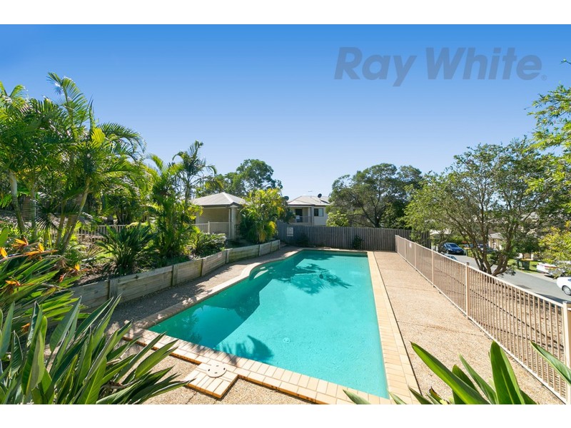 17/36 Rushton Street, Runcorn QLD 4113