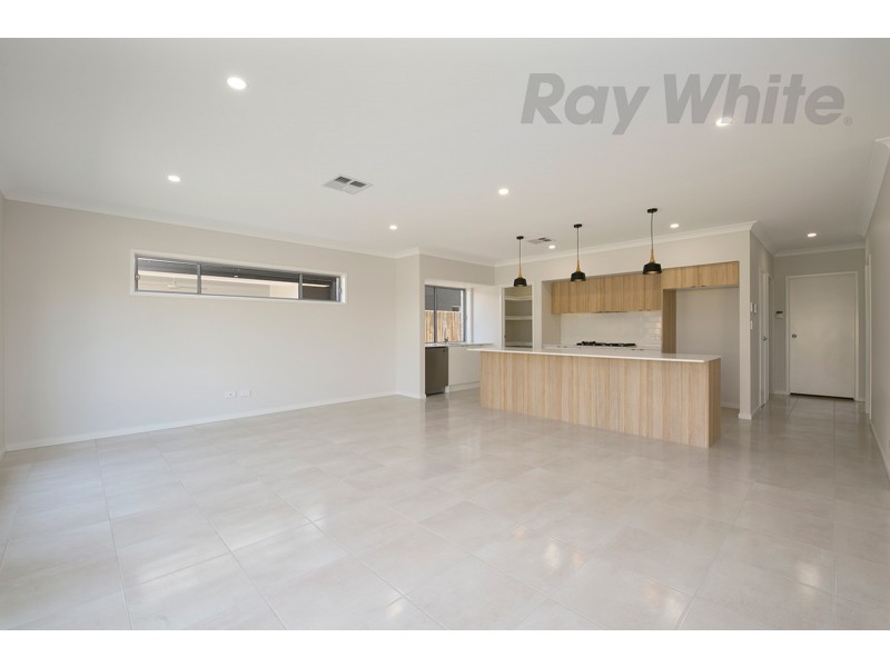 12 Petrina Street, Eight Mile Plains QLD 4113