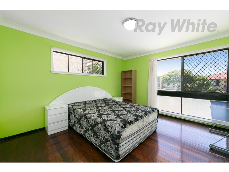 17 Gaillardia Street, Macgregor QLD 4109