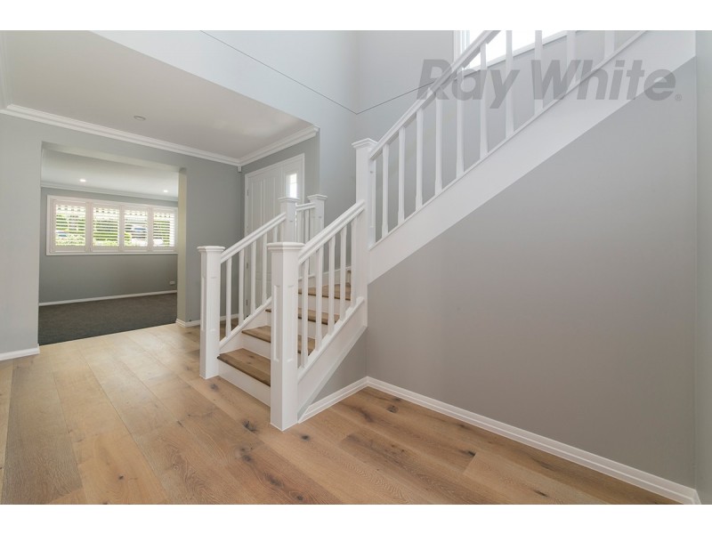 7 Wills Street, Coorparoo QLD 4151