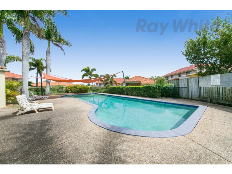 42/538 Warrigal Road, Eight Mile Plains QLD 4113