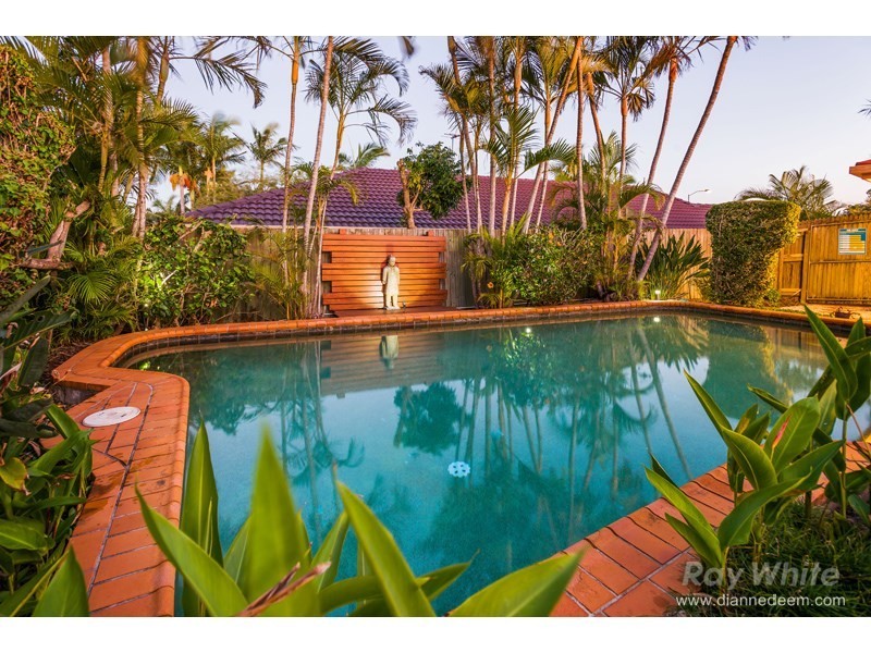 16 Lindeman Place, Eight Mile Plains QLD 4113