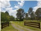 275 Leopardwood Road, Cedar Grove QLD 4285